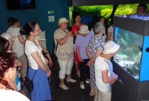 Mieszkanki w Muzeum Fauny i Flory Morskiej i Śródlądowej.