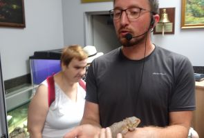 Przewodnik trzymający agamę brodatą.