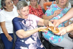 Mieszkanka dotykająca węża.