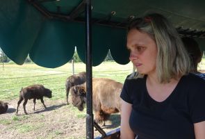 mieszkanka obserwująca bizony