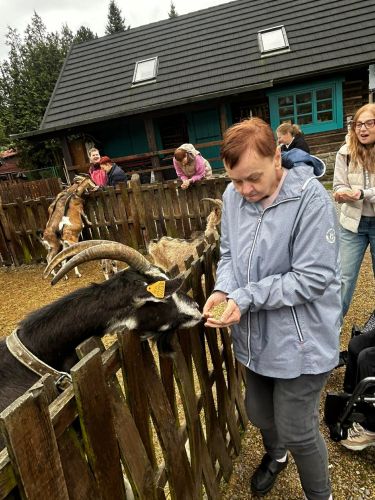 Bardzo lubią być głaskane i karmione
